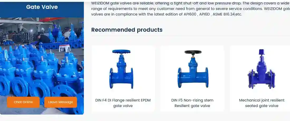 WEIZIDOM gate valves
